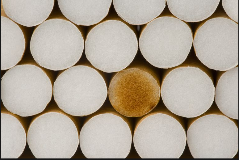 Screen Shot 2019-02-21 at 8.07.52 am